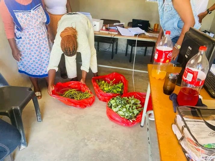 Women sorting and preparing fresh greens in bags